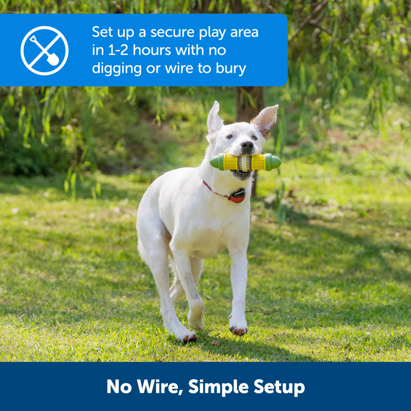 PetSafe® Stay + Play Wireless Fence Stubborn Dog Containment System